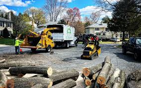 Best Tree and Shrub Care  in Pasadena, CA